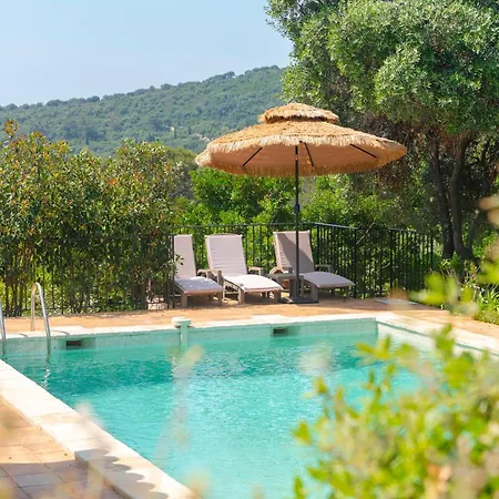 Sublime Provencale 5 Avec Piscine *